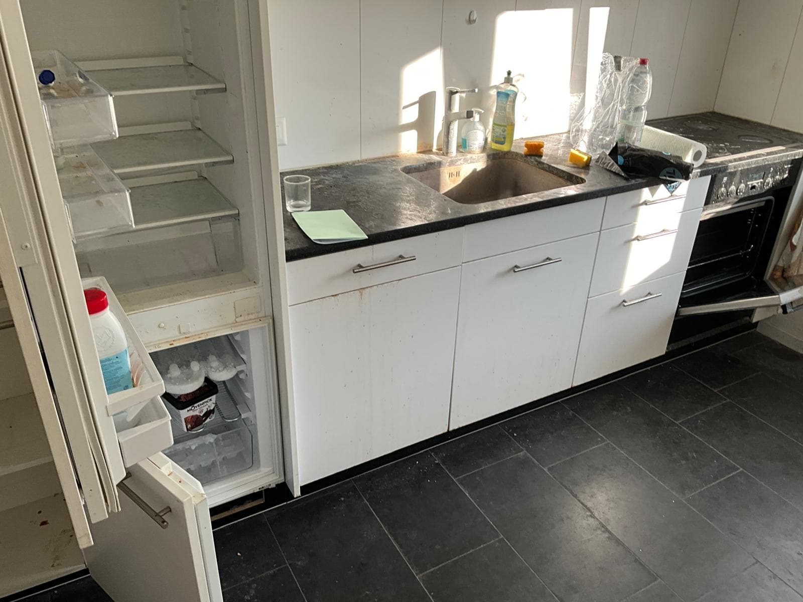 Avant - Résultat de nettoyage SwissCleanMove 8